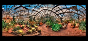 Greenhouse-Panorama