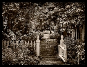 Garden Gate - © John Neel